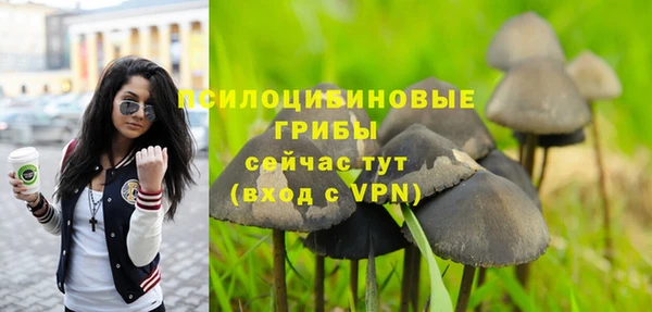 синтетический гашиш Арсеньев