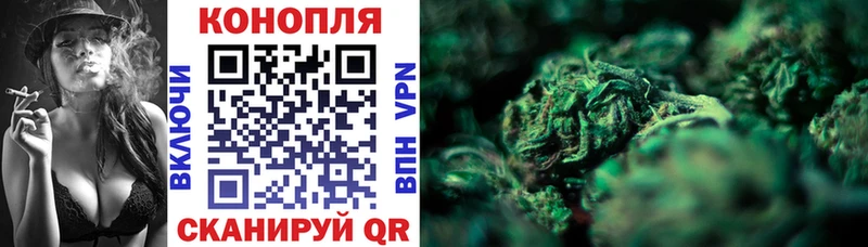 МАРИХУАНА Amnesia купить Спас-Деменск